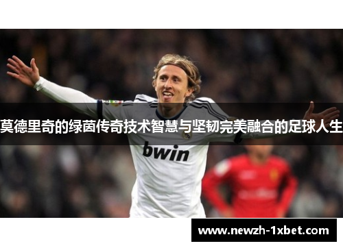 莫德里奇的绿茵传奇技术智慧与坚韧完美融合的足球人生