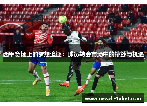 西甲赛场上的梦想追逐：球员转会市场中的挑战与机遇