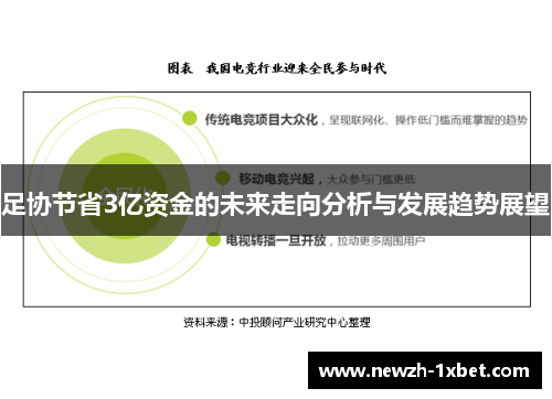 足协节省3亿资金的未来走向分析与发展趋势展望