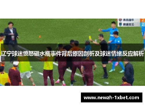 辽宁球迷愤怒砸水瓶事件背后原因剖析及球迷情绪反应解析